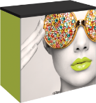 Picture of Vector Frame Counter 01