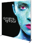 Picture of Vector Frame Master Dynamic Light Box Rectangle 03