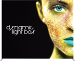 Picture of Vector Frame Master Dynamic Light Box Rectangle 04