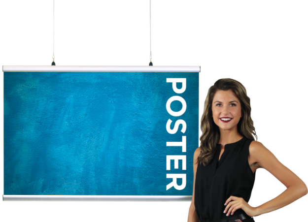 Picture of Poster Snapper Display