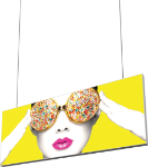 Picture of Vector Frame Hanging Light Box 10ft x 4ft